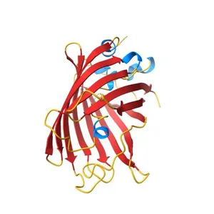 Crystal structure of a Trp-less green fluorescent protein translated by the simplified genetic code