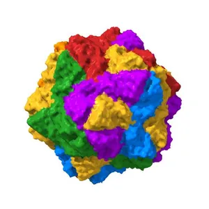 1.45 Angstrom Structure of STNV coat protein