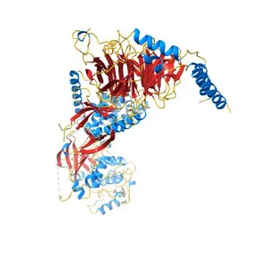 Human GRK2 in Complex with Gbetagamma subunits