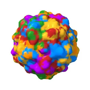 Porcine Parvovirus Capsid