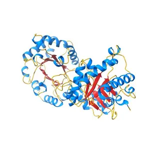 STRUCTURE OF YEAST TRIOSEPHOSPHATE ISOMERASE AT 1.9-ANGSTROMS RESOLUTION