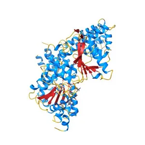 STRUCTURE OF DNA HELICASE WITH ADPNP
