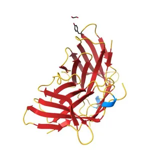 THE CRYSTAL STRUCTURE OF MURINE CTLA4 (CD152)