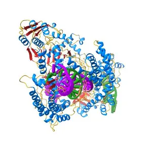 Crystal structure of Lachnospiraceae bacterium ND2006 Cpf1 in complex with crRNA and target DNA (TTTA PAM)