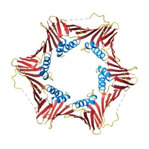 PROLIFERATING CELL NUCLEAR ANTIGEN (PCNA) HOMOLOG FROM PYROCOCCUS FURIOSUS