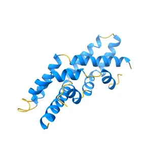 Orthorhombic Crystal Structure of Human Saposin C Dimer in Open Conformation