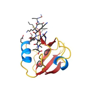 PDZK1 domain 4 in complex with C-terminal peptide of human PepT2.