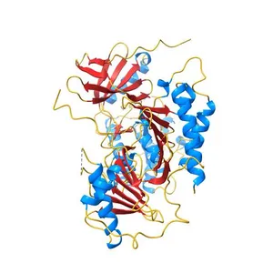Crystal structure of polo-like kinase 1