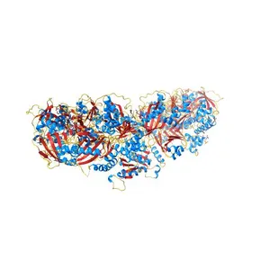 Crystal Structure of Human Carbamoyl phosphate synthetase I (CPS1), apo form
