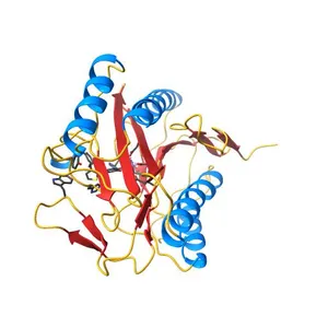 E. coli methionine aminopeptidase with Fe inhibitor W29