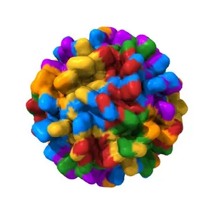 Structure of the Macrobrachium rosenbergii Nodavirus