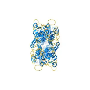 the structure of candida albicans Sey1p in complex with GMPPNP