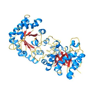 THE STRUCTURE OF TRIOSEPHOSPHATE ISOMERASE FROM ESCHERICHIA COLI DETERMINED AT 2.6 ANGSTROM RESOLUTION