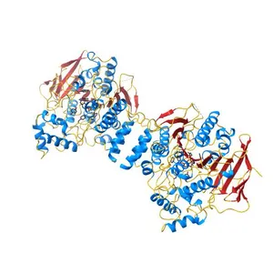 Acetylcholinesterase (E.C.3.1.1.7)