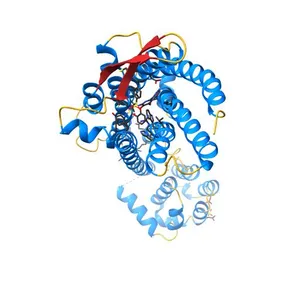 Human endothelin receptor type-B in complex with antagonist bosentan