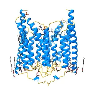 Crystal structure of wild-type Channelrhodopsin 2