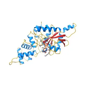Crystal structure of GMPPNP bound RbgA from S. aureus