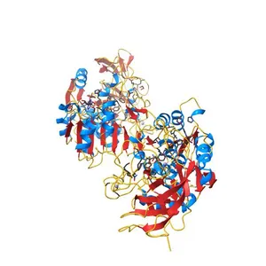 Crystal structure of human class II alcohol dehydrogenase (ADH4) in complex with NAD and Zn