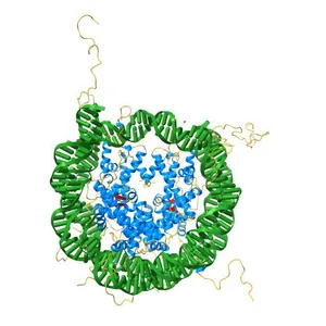 X-Ray Structure of the Nucleosome Core Particle, NCP147, at 1.9 A Resolution