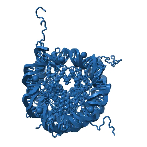 X-Ray Structure of the Nucleosome Core Particle, NCP147, at 1.9 A Resolution — Image 3 of 13