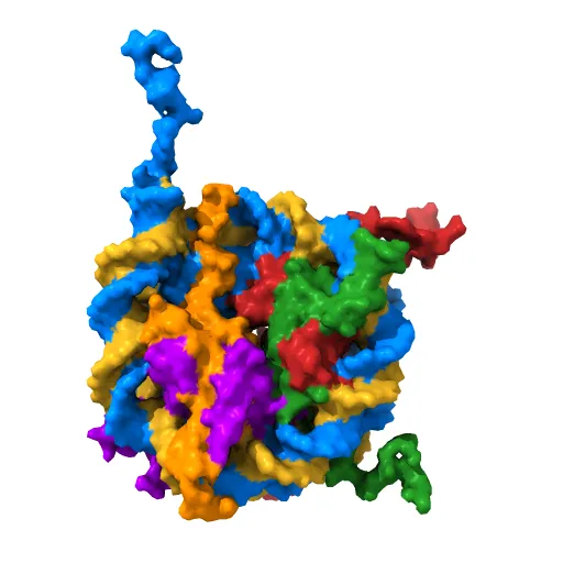 X-Ray Structure of the Nucleosome Core Particle, NCP147, at 1.9 A Resolution — Image 5 of 13