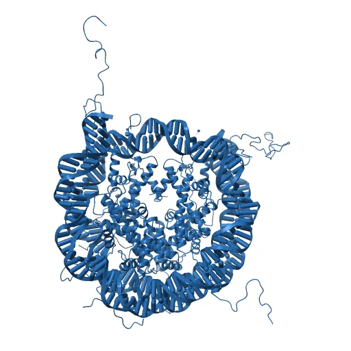 X-Ray Structure of the Nucleosome Core Particle, NCP147, at 1.9 A Resolution — Image 6 of 13