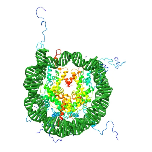 X-Ray Structure of the Nucleosome Core Particle, NCP147, at 1.9 A Resolution — Image 7 of 13