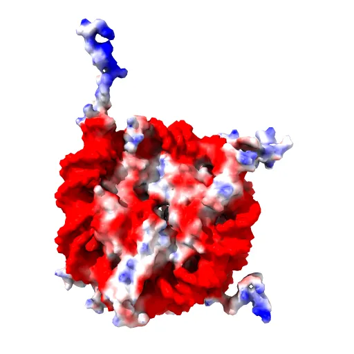 X-Ray Structure of the Nucleosome Core Particle, NCP147, at 1.9 A Resolution — Image 8 of 13