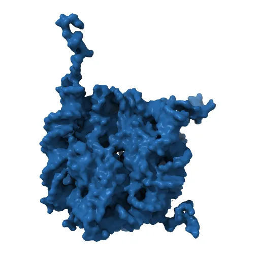 X-Ray Structure of the Nucleosome Core Particle, NCP147, at 1.9 A Resolution — Image 13 of 13