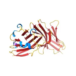 Structure of the complex of human programmed death-1 (PD-1) and its ligand PD-L1.