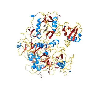 The Structure of the Follistatin:Activin Complex