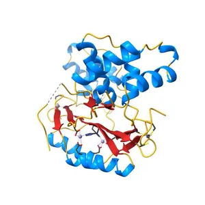 Crystal structure of Campylobacter jejuni ferric uptake regulator
