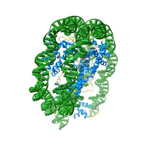 Crystal structure of 167 bp nucleosome bound to the globular domain of linker histone H5