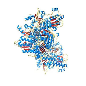 Nitrogenase molybdenum-iron protein from Clostridium pasteurianum at 1.08 A resolution