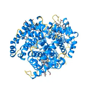 CRYSTAL STRUCTURE OF S-NITROSO-NITROSYL HUMAN HEMOGLOBIN A