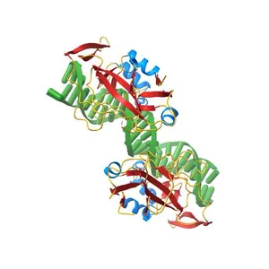Structure of the DNA-bound T-box domain of human TBX1, a transcription factor associated with the DiGeorge syndrome