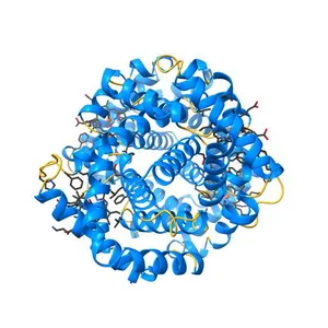 Human carbonmonoxy hemoglobin SFX dataset