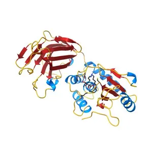 Crystal structure of human phosphatase PTEN oxidized by H2O2