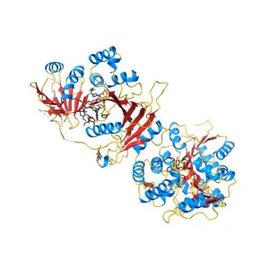 Crystal structure of a human Suppressor of fused (SUFU)-GLI3p complex