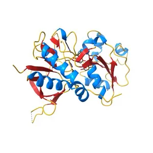 Crystal Structure Of The NR2A Ligand Binding Core In Complex With Glutamate