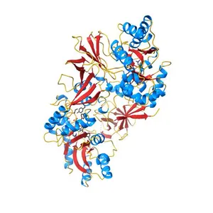 The 1.9 A crystal structure of alanine racemase from Mycobacterium tuberculosis contains a conserved entryway into the active site