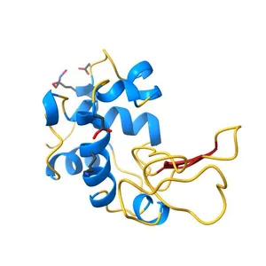 Real-space refinement of the structure of hen egg-white lysozyme