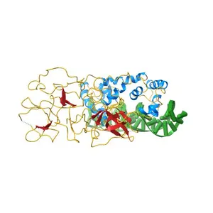 Crystal Structure of the Lambda Repressor