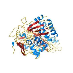 The X-ray crystal structure of a thermophilic cellobiose binding protein bound with cellopentaose