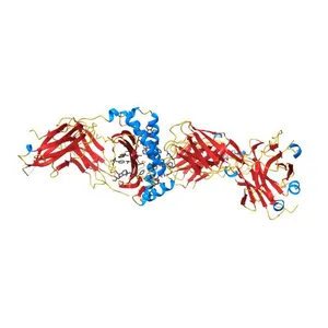 Crystal structure of murine P14 TCR / H-2Db with PF, modified gp33 peptide from LCMV