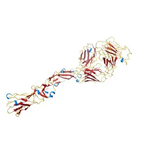 Crystal structure of the West Nile Virus envelope glycoprotein in complex with the E53 antibody Fab