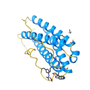 The crystal structure of human interleukin-11