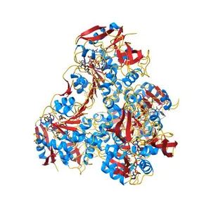 NADP-DEPENDENT ALCOHOL DEHYDROGENASE FROM THERMOANAEROBIUM BROCKII