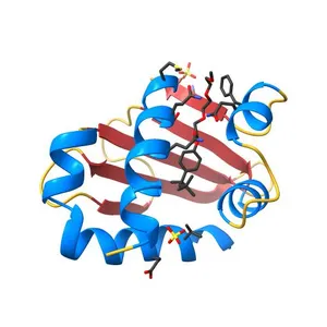 LIGANDED STEROL CARRIER PROTEIN TYPE 2 (SCP-2) LIKE DOMAIN OF HUMAN MULTIFUNCTIONAL ENZYME TYPE 2 (MFE-2)
