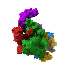 Three-dimensional EM structure of an intact activator-dependent transcription initiation complex